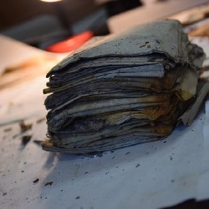 В лісах на Західній Україні відкопали невідомі звіти УПА. ФОТО