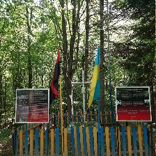20230522_110944.jpg