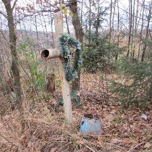 грабівка (3).JPG