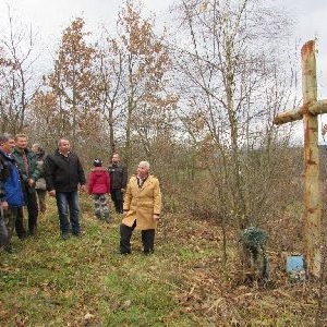 грабівка (9).JPG